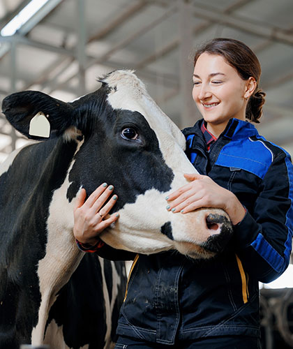 Agriculture recruitment and jobs in Australia and Ireland